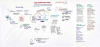 plenary9aToms